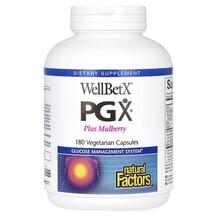 WellBetX PGX Plus Mulberry Поддержка уровня сахара Natural WellBetX PGX Plus Mulberry Поддержка уровня сахара Natural