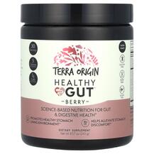 Healthy Gut Berry Поддержка кишечника Terra Origin 243 г Healthy Gut Berry Поддержка кишечника Terra Origin 243 г