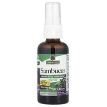 Sambucus Spray Спрей из бузины Nature's Answer 60 мл