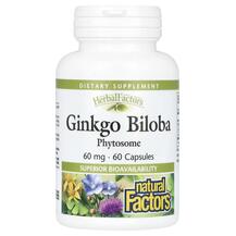 Ginkgo Biloba Phytosome Гинкго Билоба Natural Factors