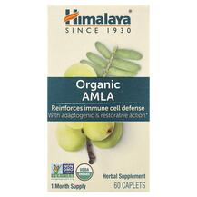 Organic Amla Reinforces Immune Cell Defense Амла Himalaya