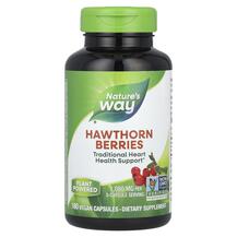 Hawthorn Berries 510 mg Ягоды боярышника 510 мг Nature's Hawthorn Berries 510 mg Ягоды боярышника 510 мг Nature's