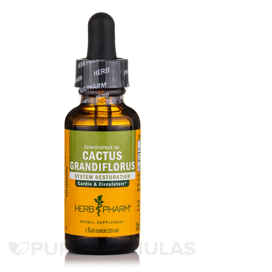 Основное фото товара Herb Pharm, Королевский кактус, Cactus Grandiflorus, 29.6 мл