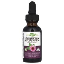 Echinacea Goldenseal Эхинацея и Желтокорень Nature's Way Echinacea Goldenseal Эхинацея и Желтокорень Nature's Way