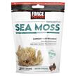 Фото товара Fundamentals Sea Moss Salted Caramel Фото товара Force Factor, Морской мох, Fundamentals Sea Moss, 30 шт