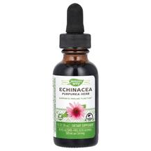 Echinacea Эхинацея 999% без спирта Nature's Way 30 мл Echinacea Эхинацея 999% без спирта Nature's Way 30 мл