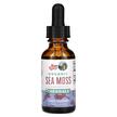 Фото применение Organic Sea Moss Liquid Extract Alcohol Free 1140 mg Фото применение Organic Sea Moss Liquid Extract Alcohol Free, Ирландский морской