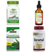 Хвощ полевой